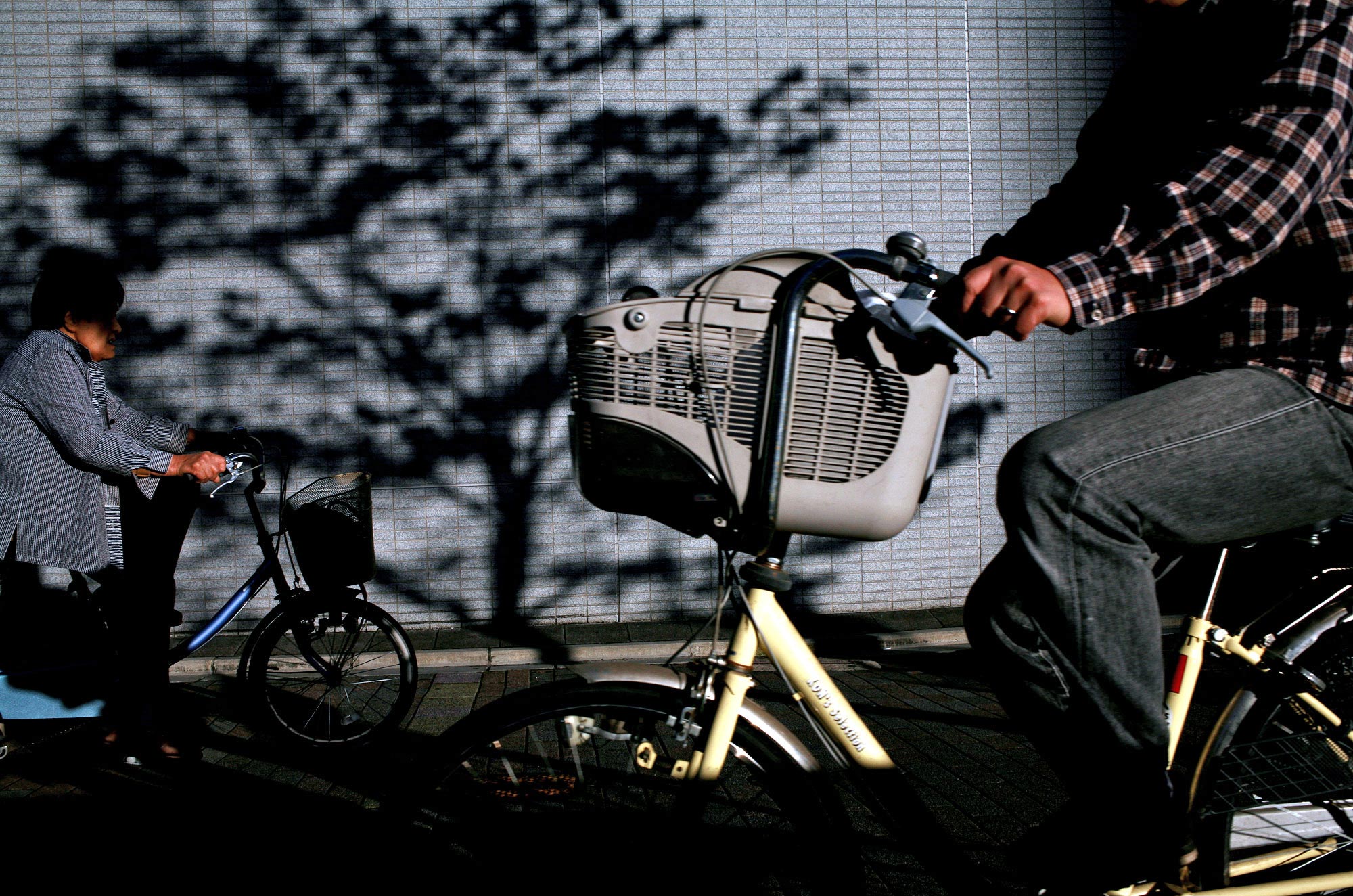 JOHNNY ANDREWS PHOTOGRAPHY :: PASSPORT :: Japan